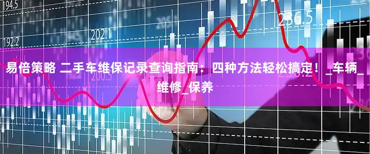 易倍策略 二手车维保记录查询指南：四种方法轻松搞定！_车辆_维修_保养
