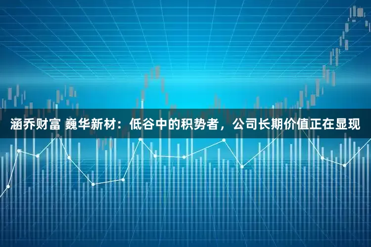 涵乔财富 巍华新材：低谷中的积势者，公司长期价值正在显现